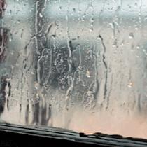 不相信眼泪的城市,深圳不相信眼泪抖音