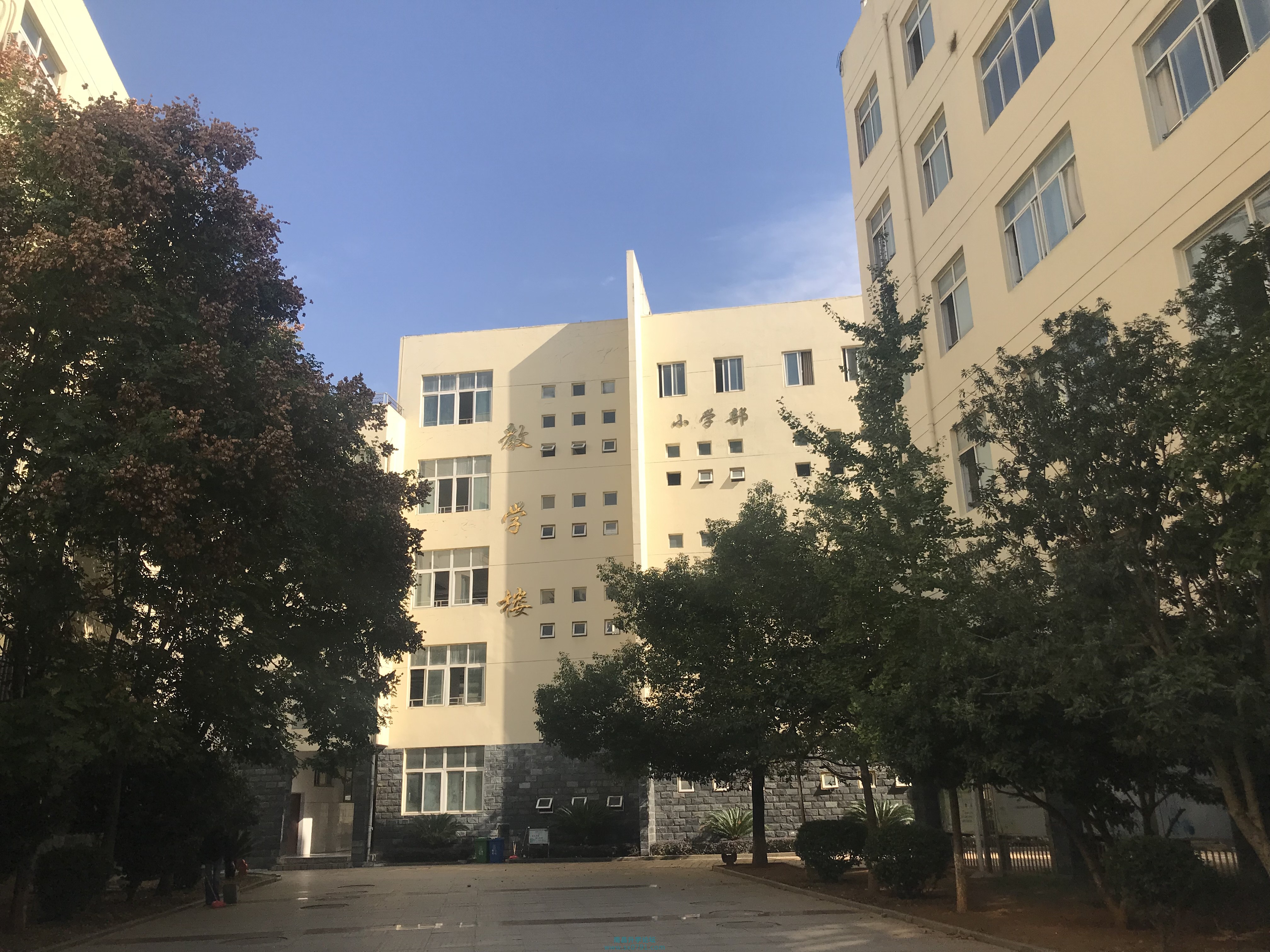 走进校园小学生们的笑容天真烂漫,走进南昌红谷滩新区实验学校