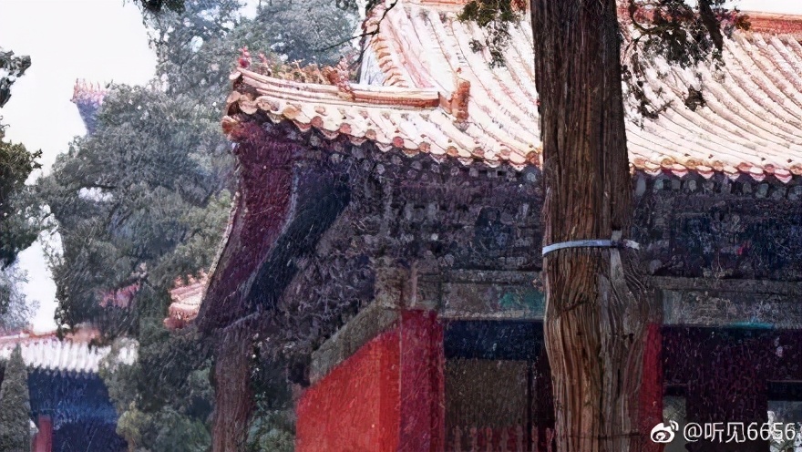 等一场雪，邂逅最美山“冬”｜冬游齐鲁