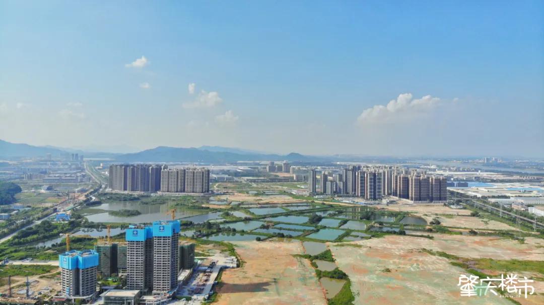 未来肇庆大旺,肇庆大旺最新重磅消息