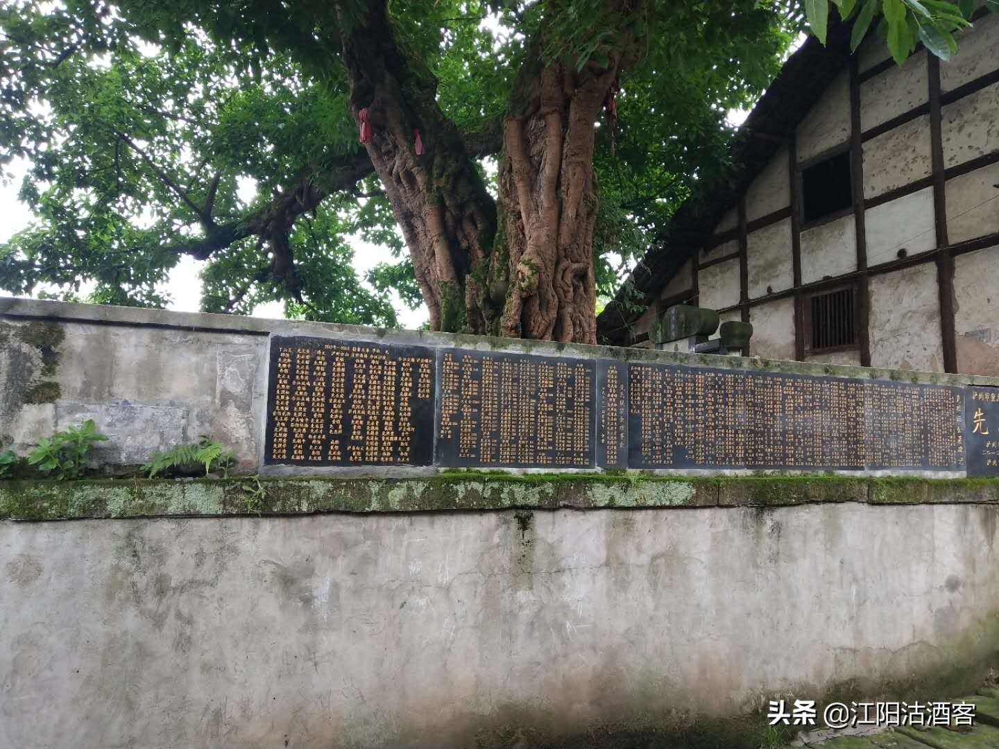 合江旅游古镇,泸州合江旅游推荐