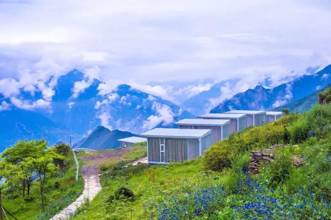 它们冷门，可却是如此幽静美丽