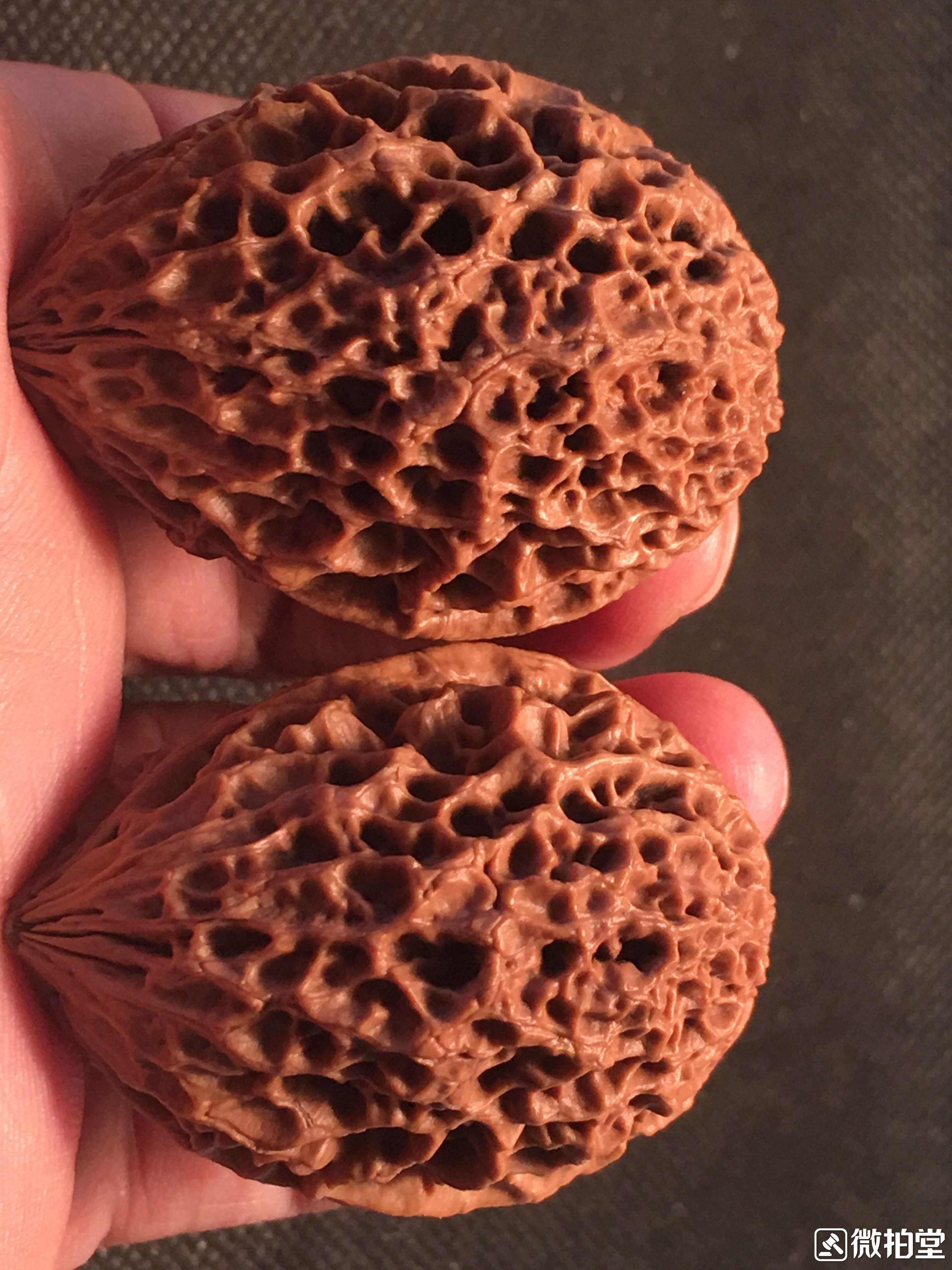 文玩核桃产地哪里的最好,河北涞水核桃文玩产地