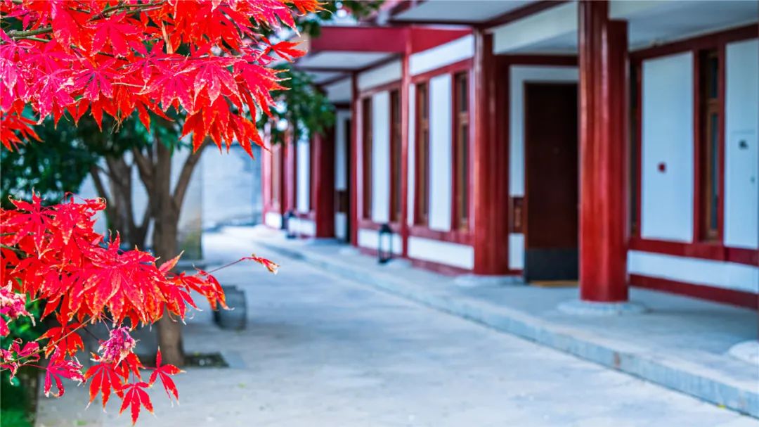 华清宫的初冬美景，惊艳了谁的时光？