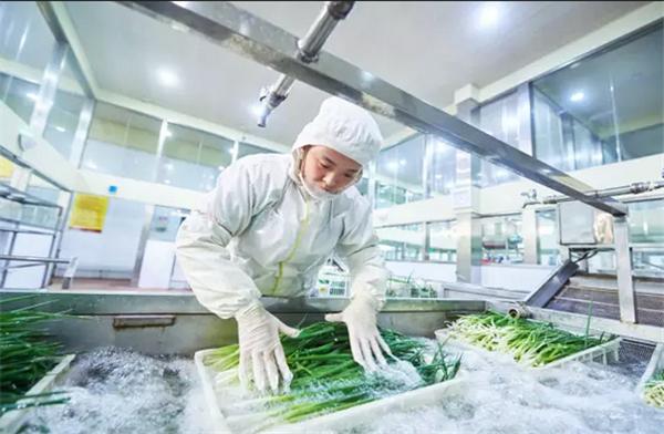 加盟火锅店亏了怎么回事,加盟火锅店的十大忠告