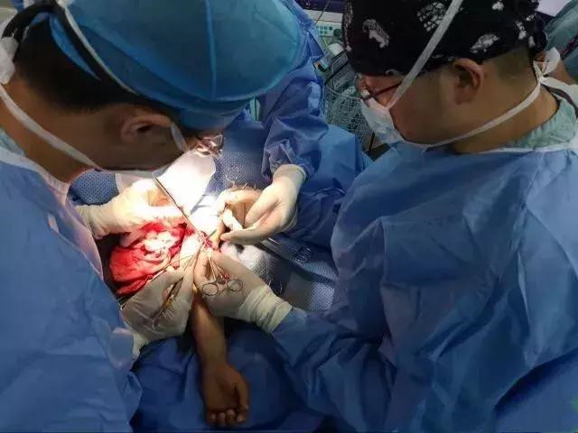 被打掉的胎儿都去哪,被打掉的胎儿