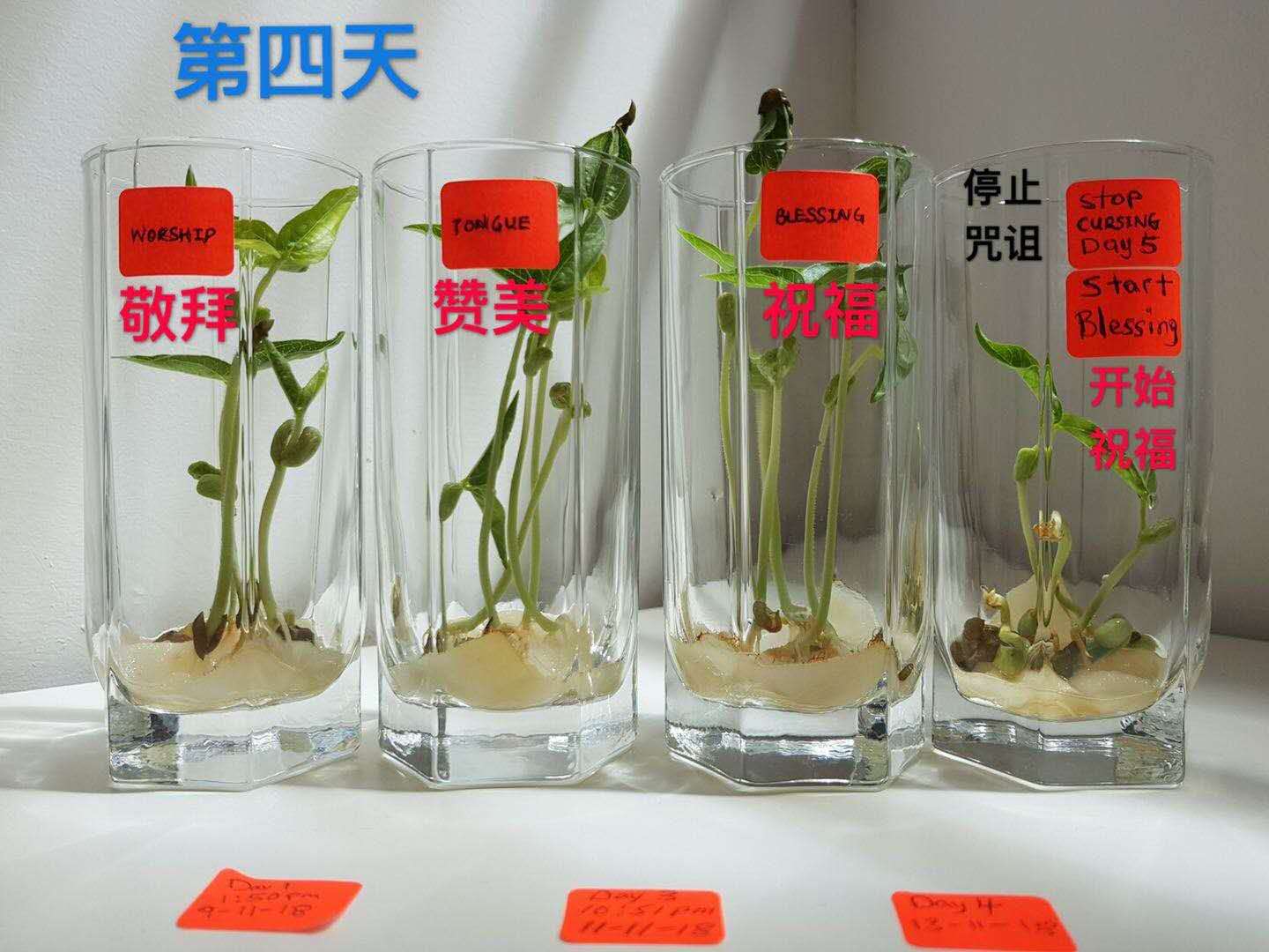 零极限四句话背后原理,零极限4句话