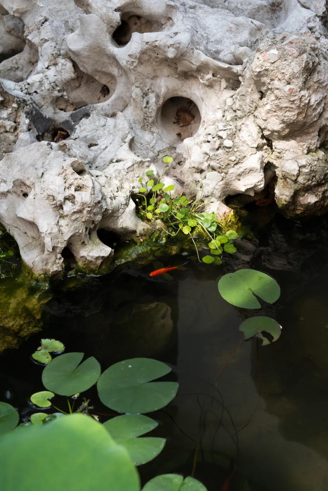 石头，只有中国人最懂