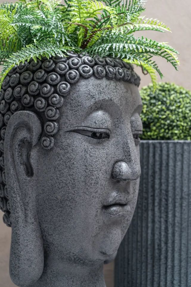 鑳″潎,鑳″潎鍒