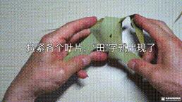 剩下的粽叶怎么做,剩下的粽叶如何收藏