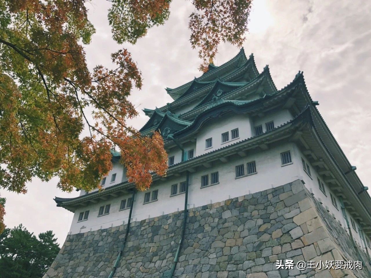 日本自由行攻略7天旅游,日本自由行攻略十大必去景点