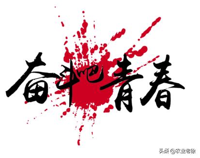 我的名字叫农民,我是一名农资人