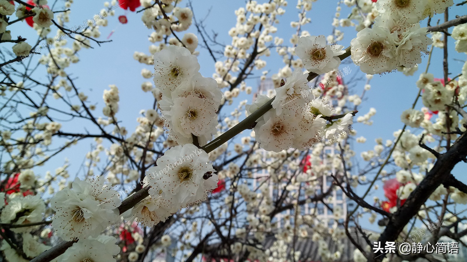 漫步三月春暖花开,三月是春暖花开的时节