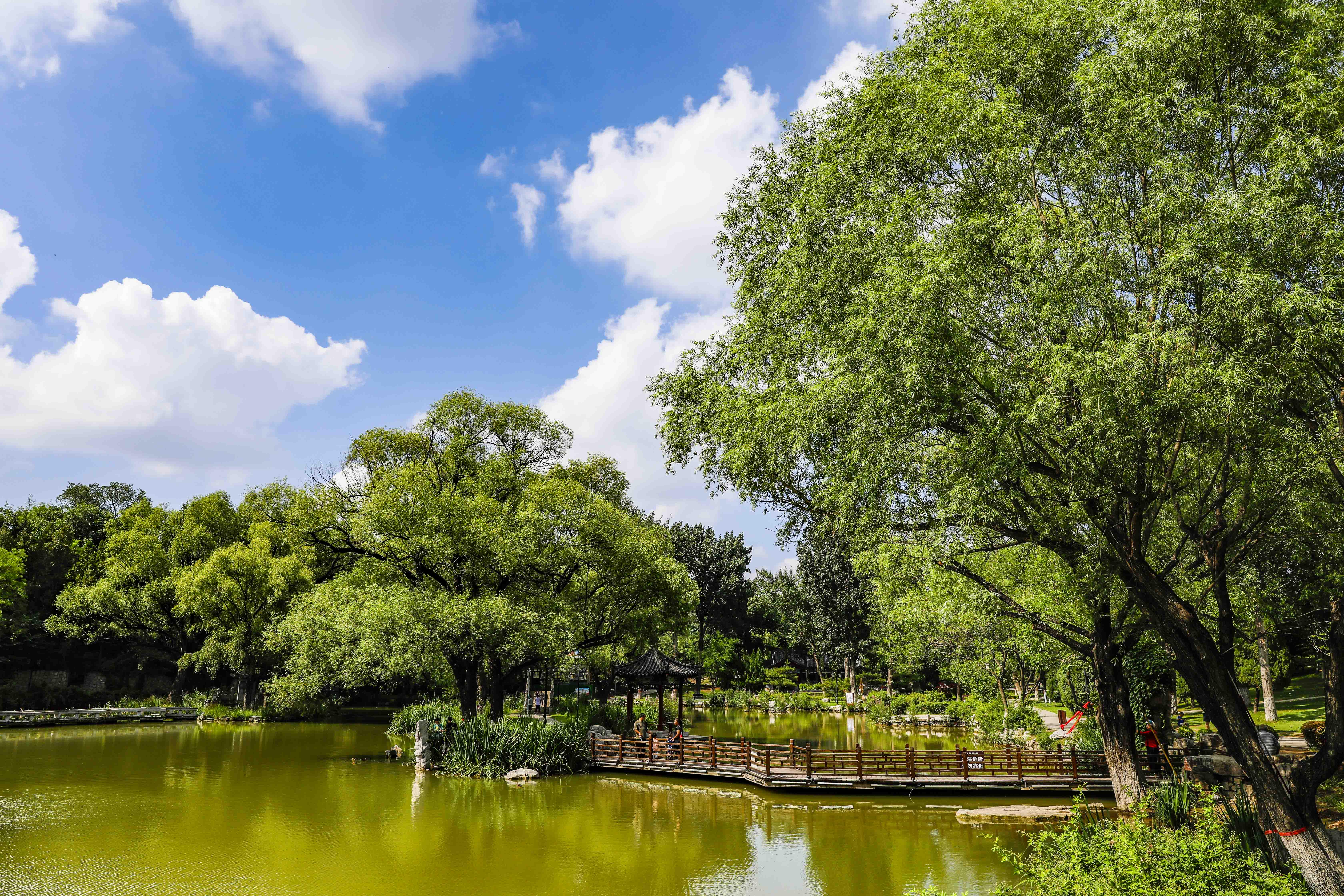 青州夏季一日游的好地方,青州周末旅游攻略
