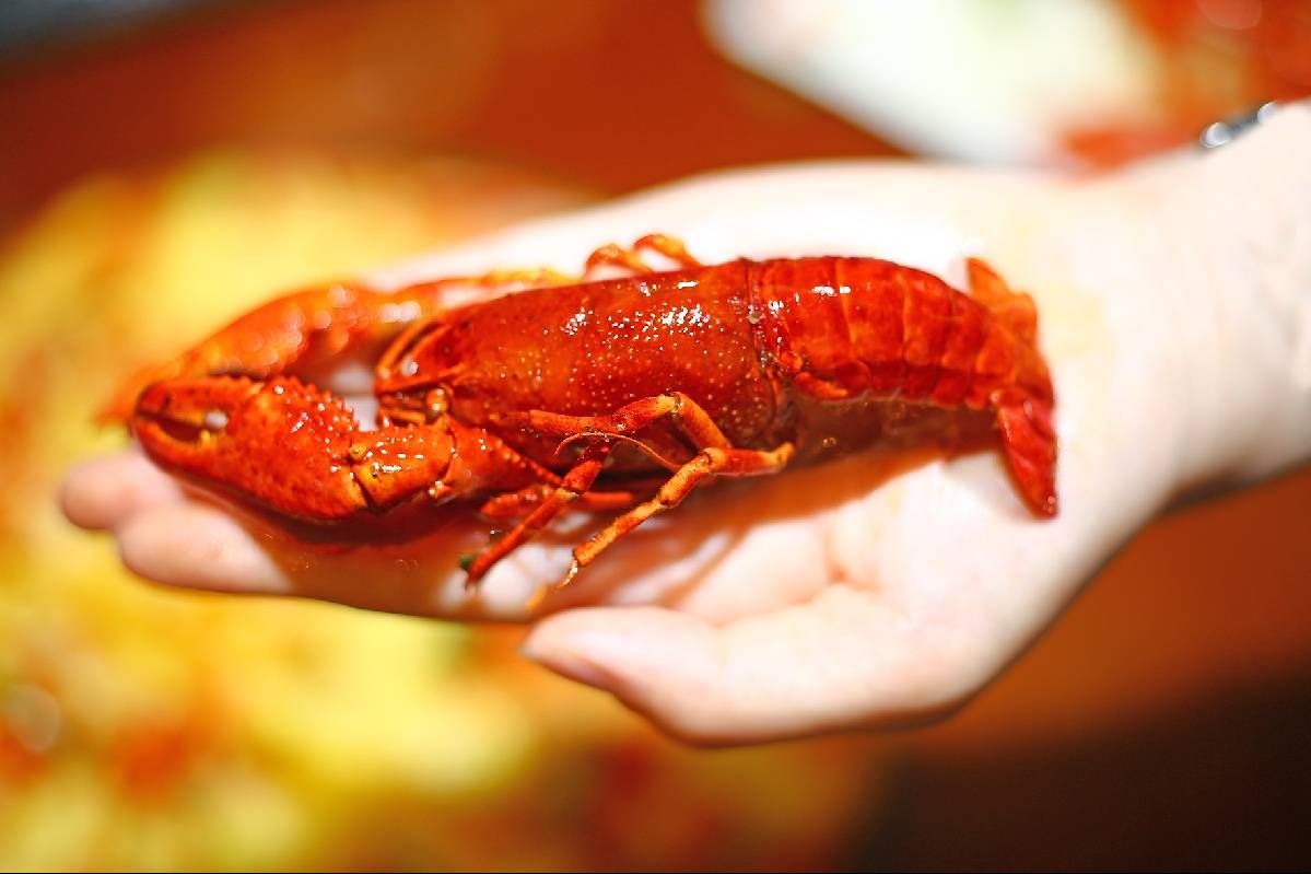 南京哪有龙虾自助餐,南京唯一一家龙虾自助