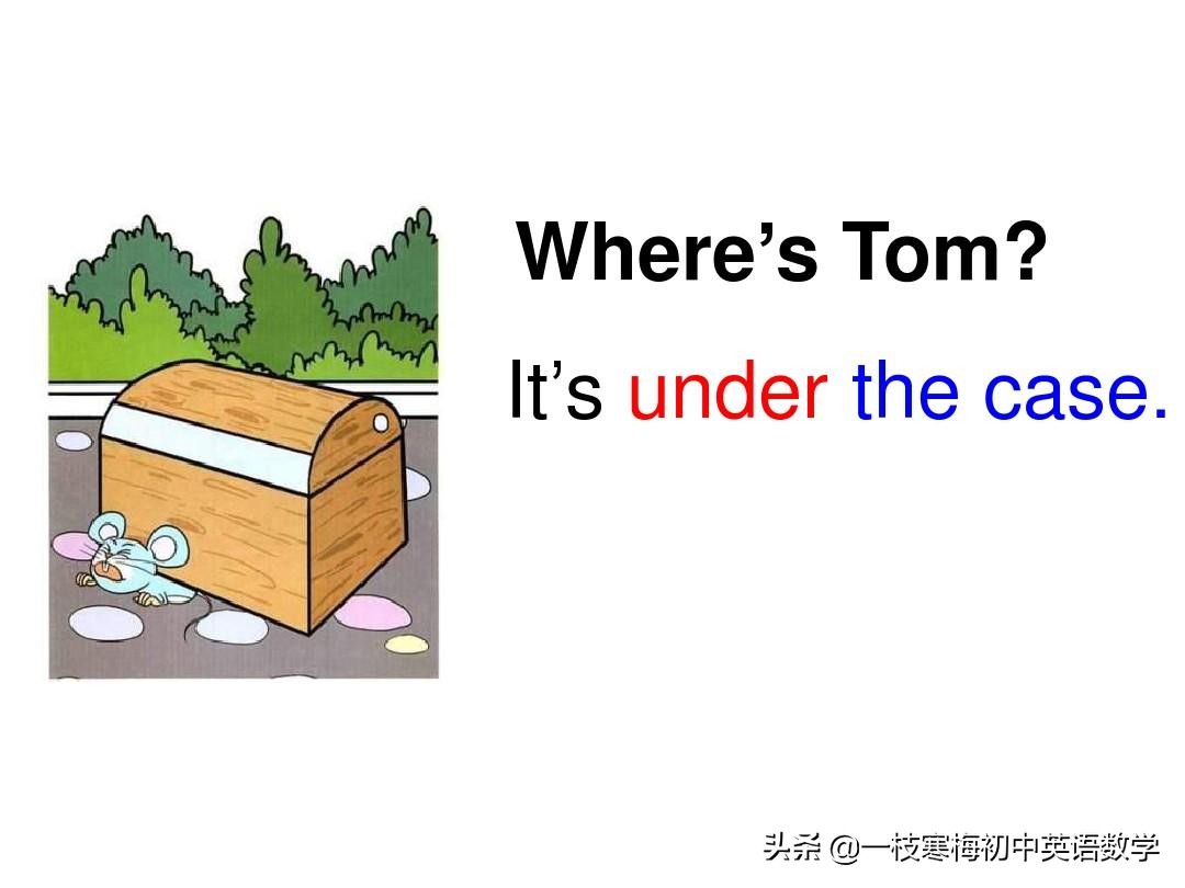 七年级上册英语第九单元section2b,七年级上册英语第八单元sectionb