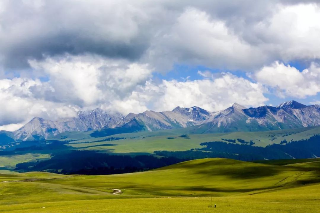 5元一斤买西梅,再送一颗果树,还能免费旅游!有这么好的事?