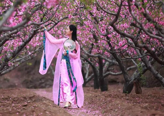 感情描写比较细腻的网络小说,5本好看却不出名的东方玄幻小说