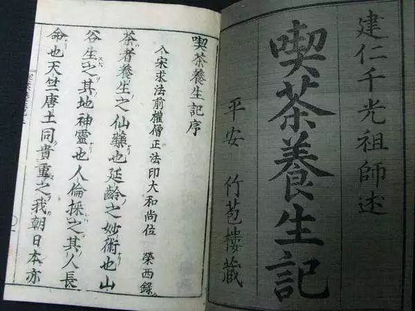 现在哪些食品含咖啡因,什么食物饮品含有咖啡因