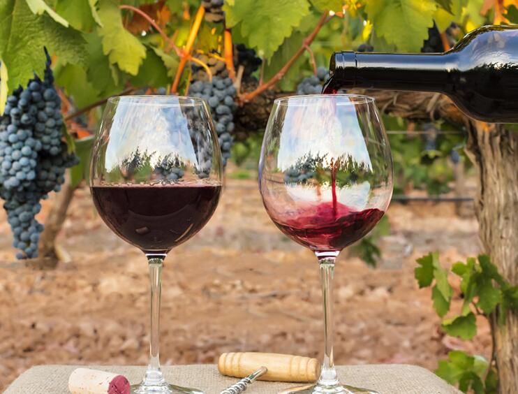 西班牙do级干红美人鱼葡萄酒,西班牙do级公牛红葡萄酒