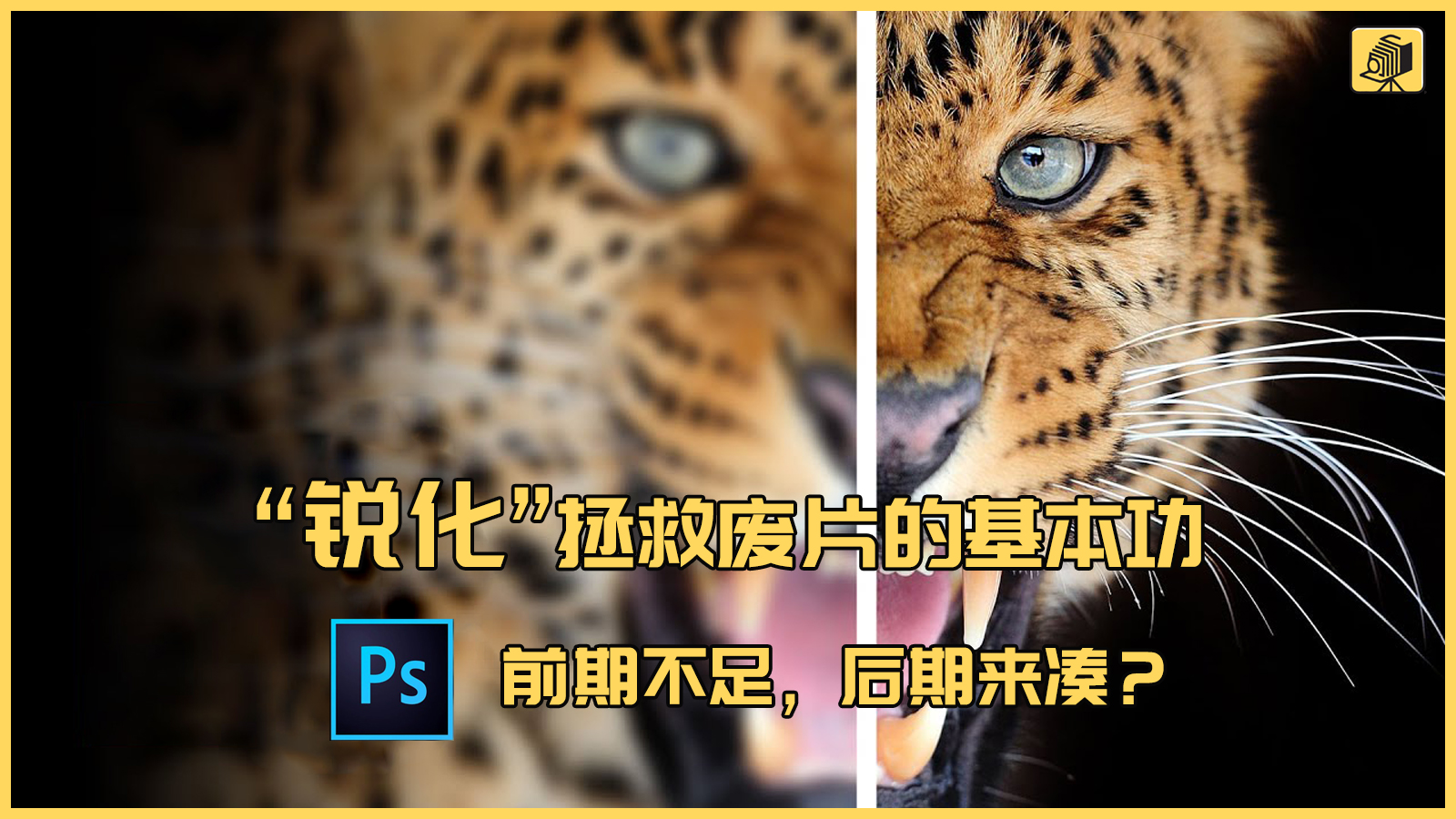 干货解读：“锐化”拯救废片的基本功，前期不足，后期来凑？