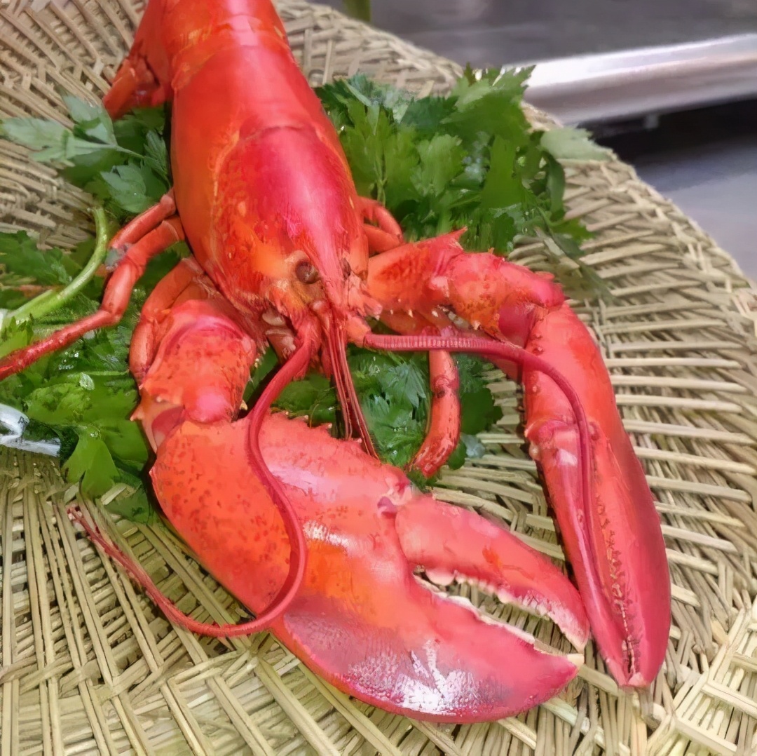 把包子铺开在哈佛门口，几周销售破2亿，这是卖包子不是卖金砖？