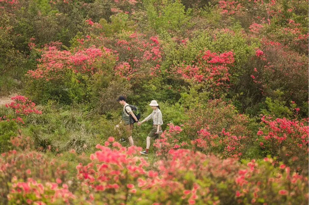 小众4-5日游,4天小众旅游