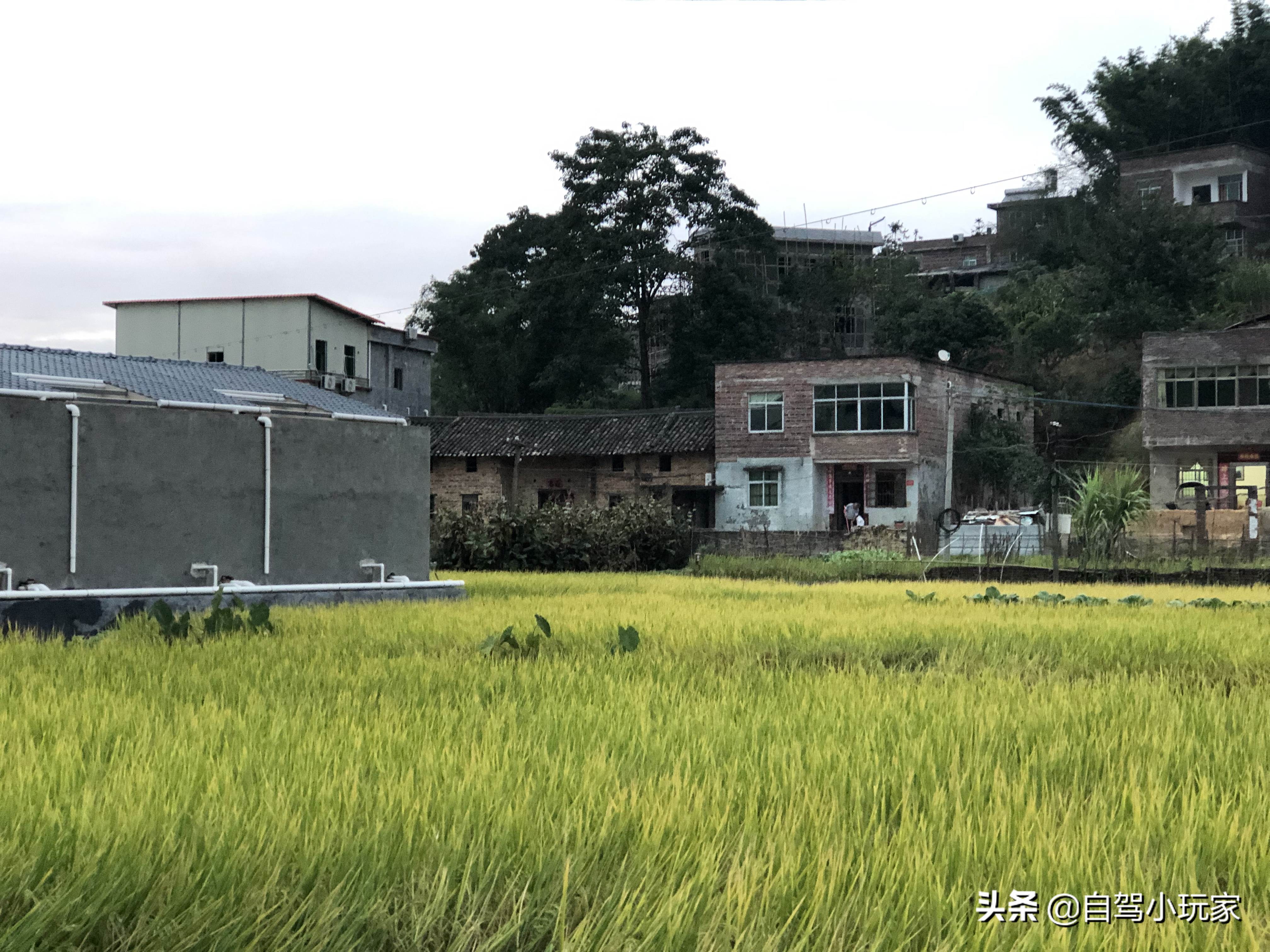 河源生态温泉,河源温泉小镇泡温泉