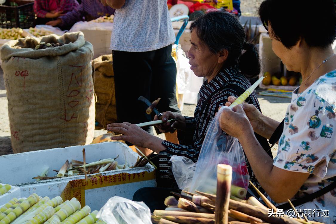 四川天然氧吧旅游推荐,四川天然氧吧有哪些地方