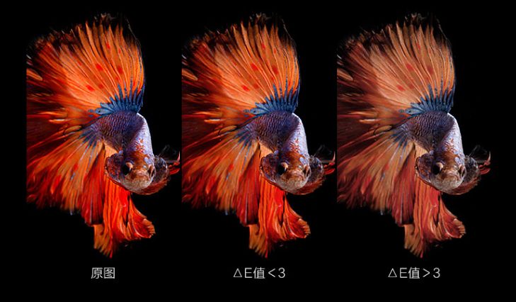 1000以内的显示器测评推荐,小屏显示器推荐2022排行榜