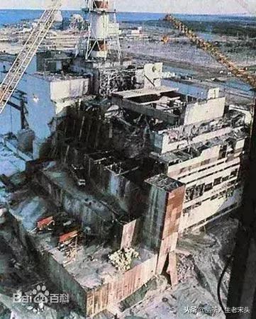 最新世界十大“怪”,最后一个太绝了!