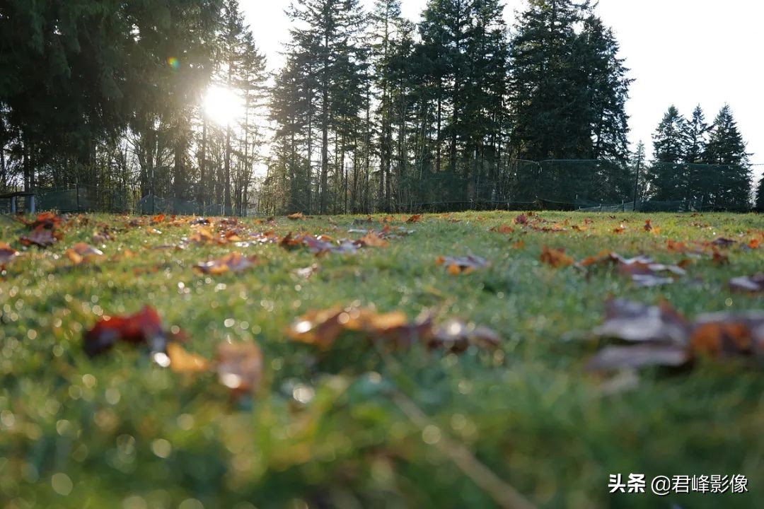 徕卡leicasl2-s样张,徕卡发布新相机