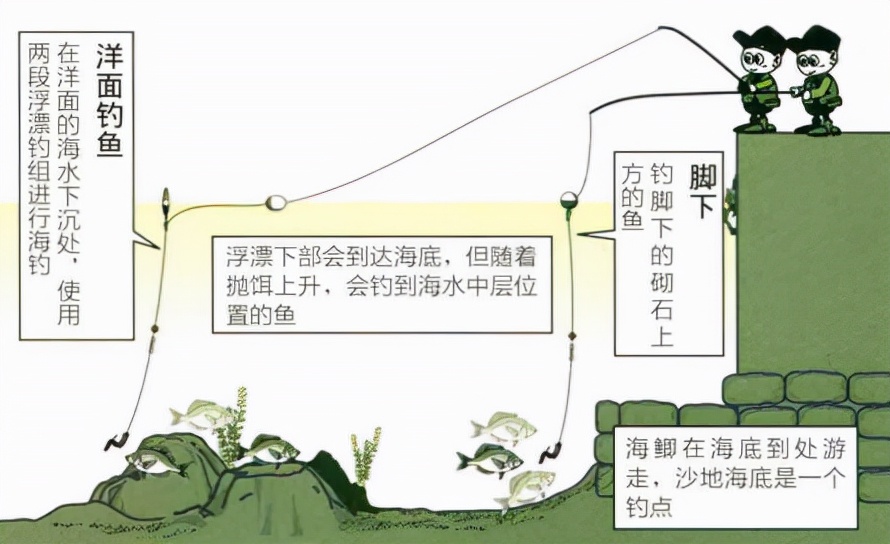 「日本专业矶钓书籍」海鲫富有营养，入门矶钓对象鱼