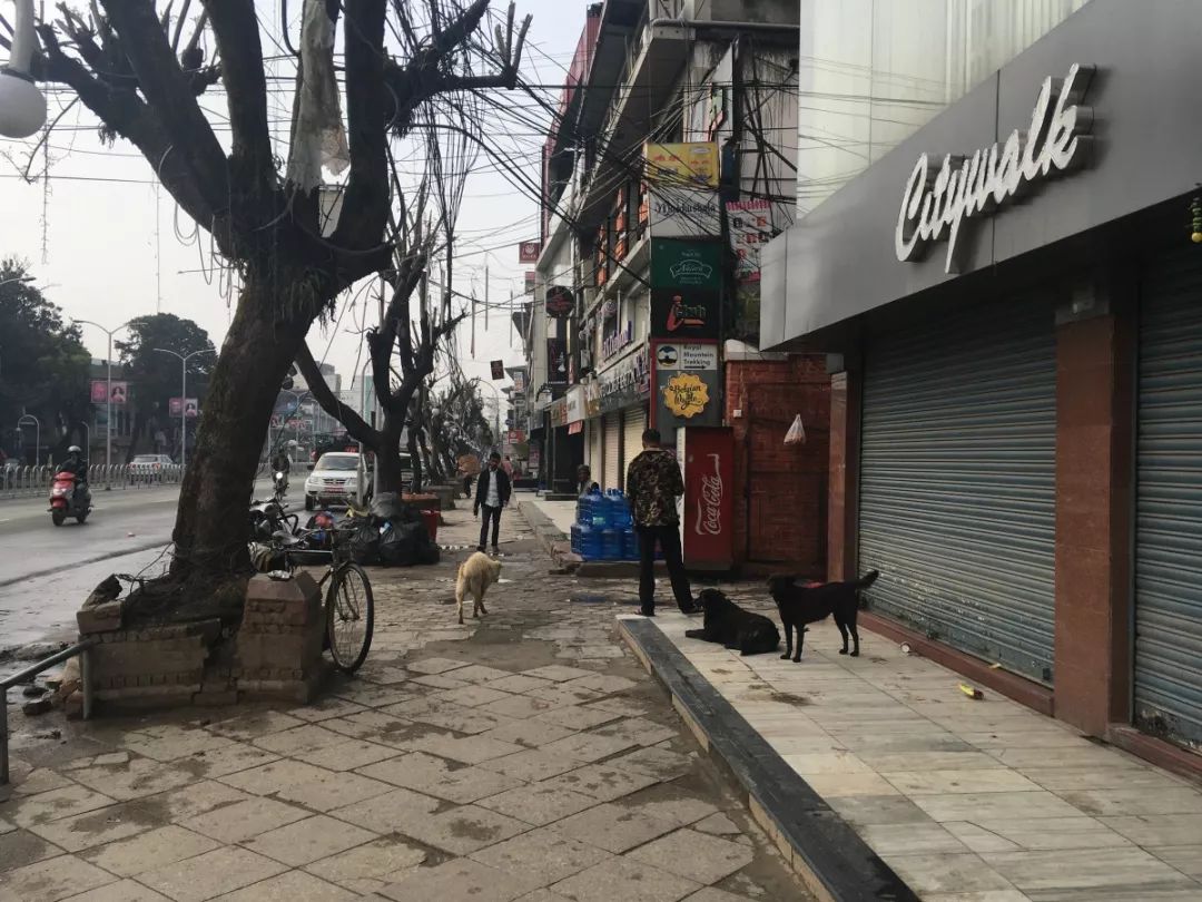 二驴带你环游世界尼泊尔,环游世界之旅完整视频