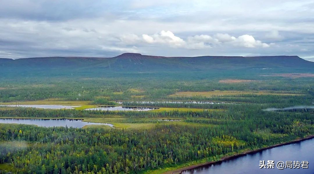 全球森林面积最低的国家排名,亚洲面积最大的人工红松森林