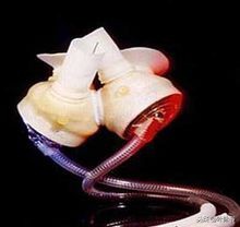 可以提高人体机能的黑科技,肉眼难以看出人体黑科技