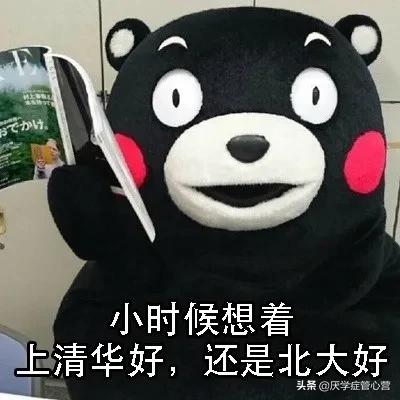 厌学症管心营,厌学症孩子的心理