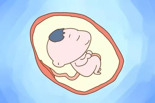 羊水指数啥意思,羊水指数是胎儿的什么指标