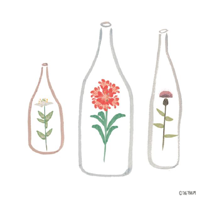 鐙傚枩鏃ユ湰鍔ㄦ极鍏ㄩ泦,浜氭床鎳掕泲铔嬬殑涓婚椁愬巺