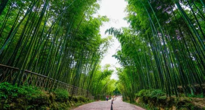 热炸！四川这些小众避暑佳境，光看图就能凉快10℃
