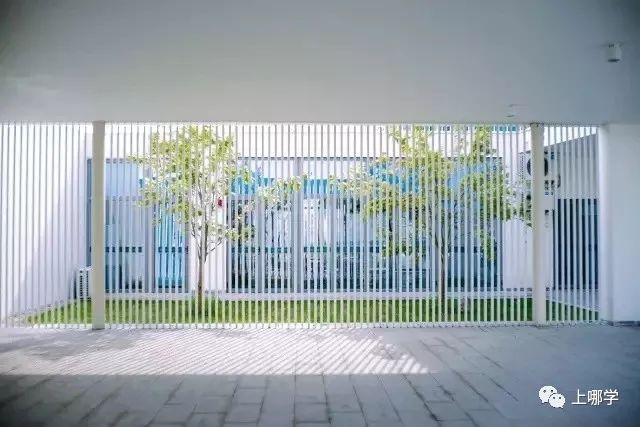 上海最好的十大民办初中,上海各区的顶级初中和一流初中