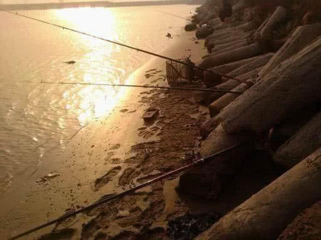 盐沟里钓“光鱼”，体形似胡萝卜，有点虎头蛇尾的感觉