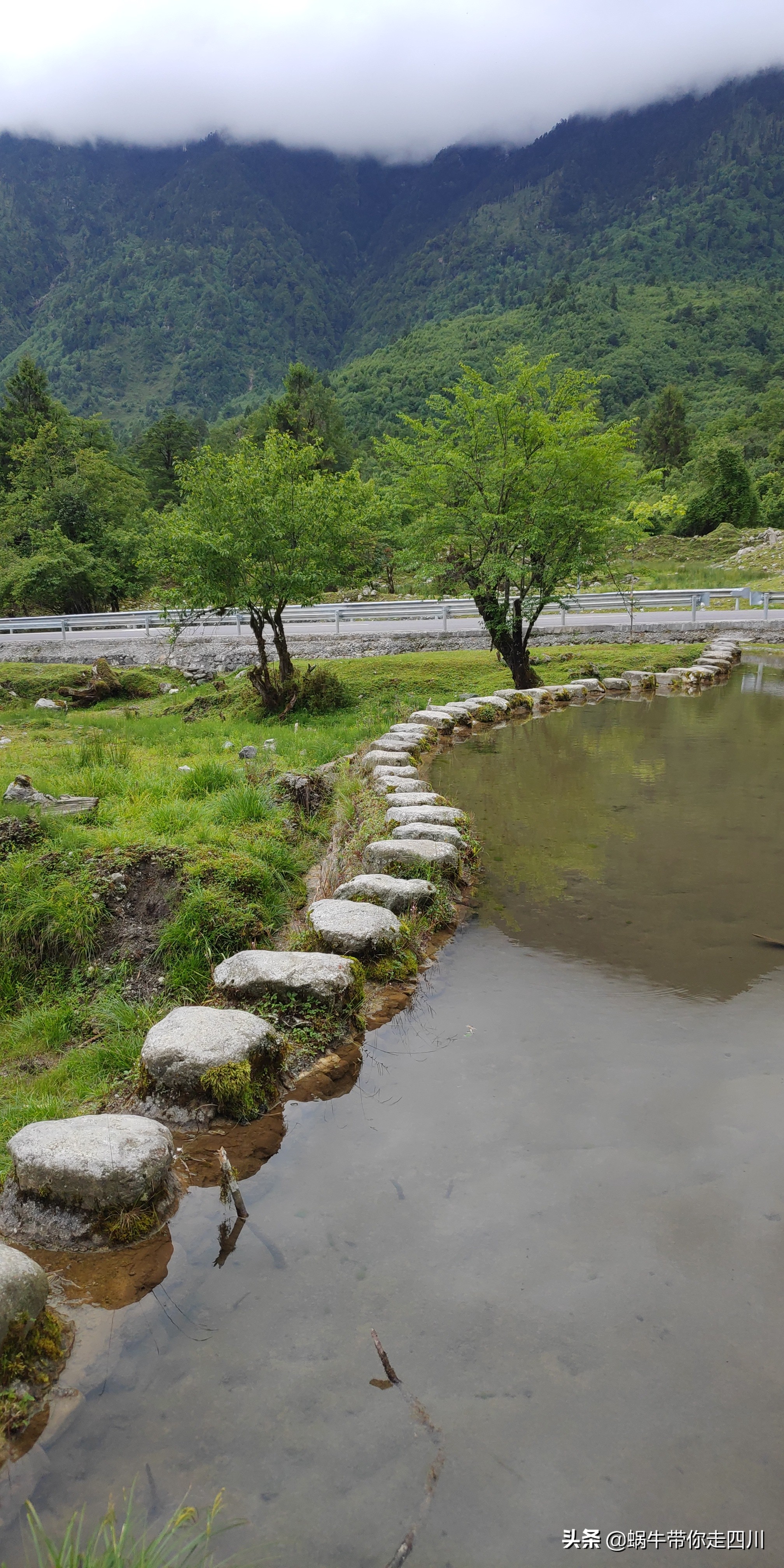 带小朋友出去看小动物,带小孩去海洋动物园
