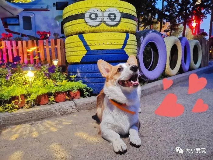 最美的房车营地,距离北京近的草原房车营地