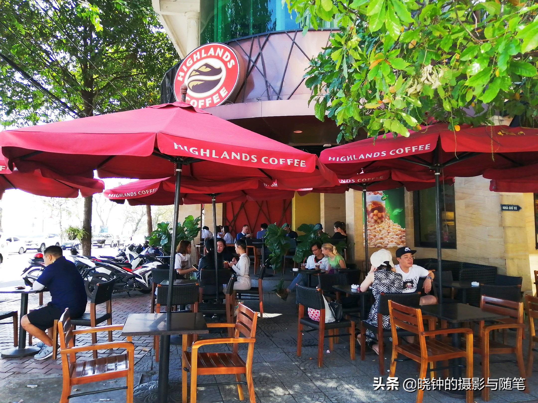 越南麝香猫速溶咖啡,野生麝香猫的猫屎咖啡