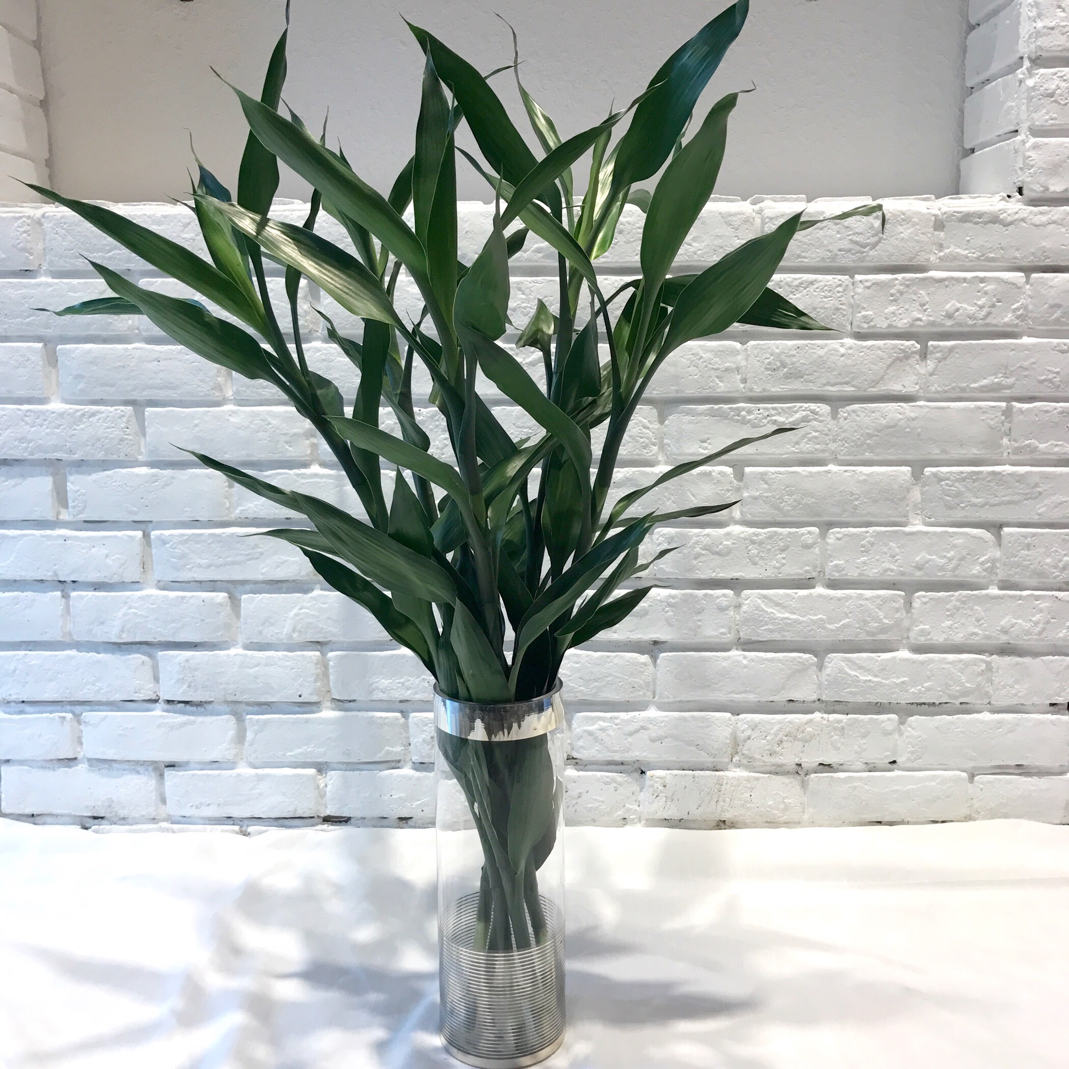 什么花可以养在水里?园艺师教你,8种“水生花”,怎么都泡不烂