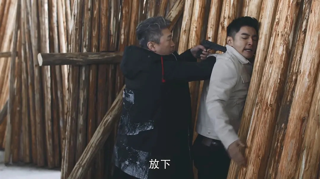 重生路铭嘉崇拜秦驰,重生路铭嘉秦驰