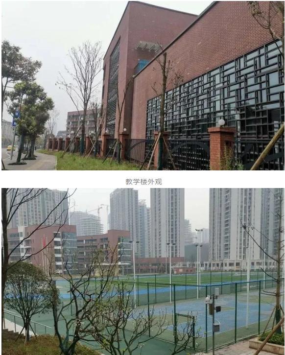 重庆西师附中各个校区实力排行,重庆西附几大校区排名