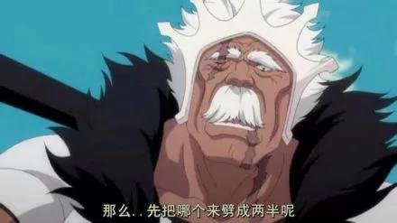 死神动漫十刃出场集数,死神动漫十刃经典视频