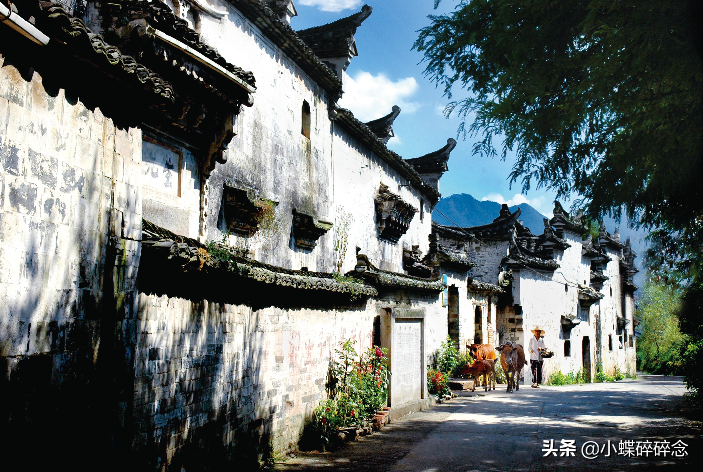 跟我去一趟缙云，告诉你怎样的江南行叫“不虚此行”